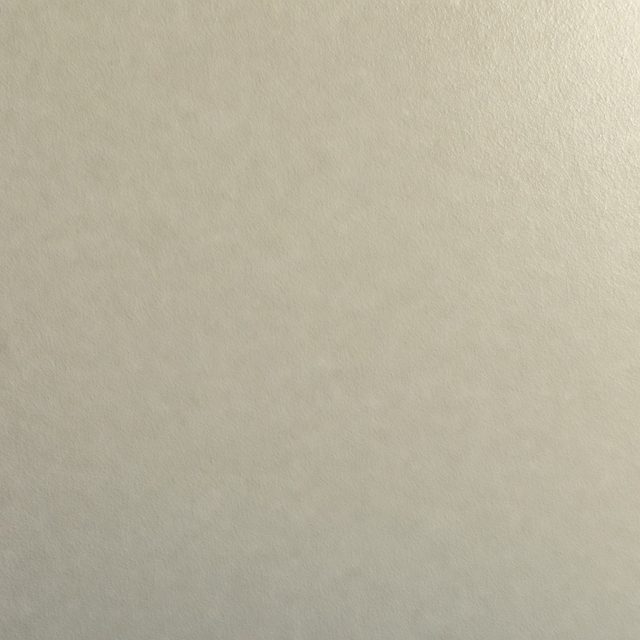 Close view of a bone white eggshell wall finish in raking light